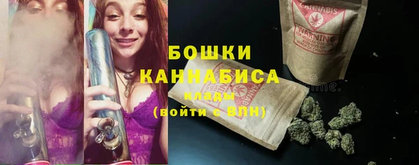 mdpv Заводоуковск