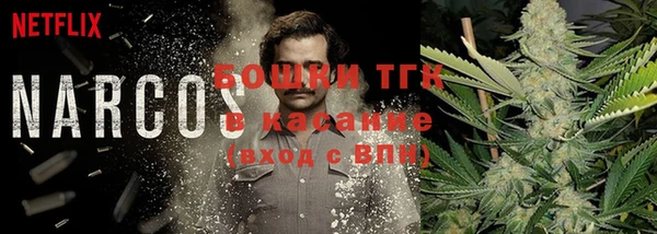 трава Заволжье