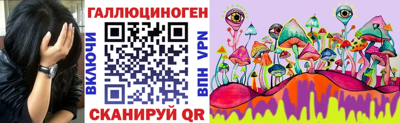 ссылка на мегу как войти  Ивантеевка  Псилоцибиновые грибы MAGIC MUSHROOMS  купить наркотик 