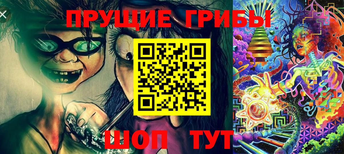 Псилоцибиновые грибы Psilocybe Ивантеевка
