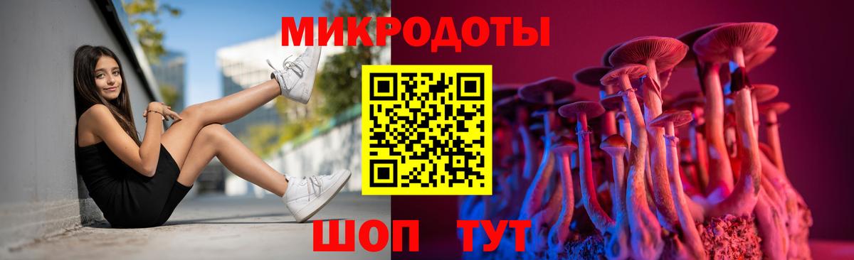 Псилоцибиновые грибы Psilocybine cubensis  Вход с VPN  Ивантеевка 